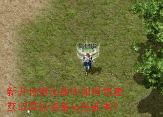 ¿˽οٻȡ߼װ뼼飿