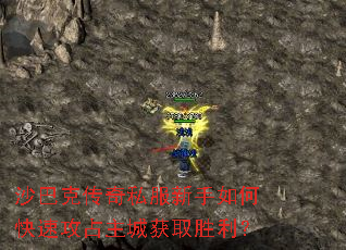 ɳͿ˴˽οٹռǻȡʤ