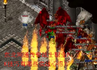 ͨսʿְҵPKЩʵսĵã