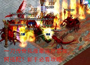 一刀传奇私服最强阵容如何搭配?新手必看攻略 一刀传奇私服最强阵容如何搭配?新手必看攻略