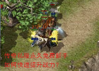 传奇私服永久免费新手如何快速提升战力? 传奇私服永久免费新手如何快速提升战力?