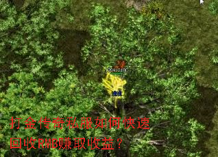 �����˽����ο��ٻ���RMB׬ȡ���棿