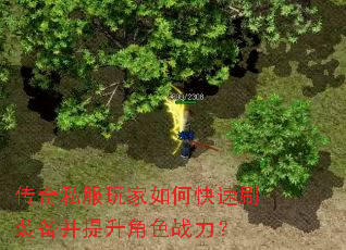 ����˽�������ο���ˢװ����������ɫս����