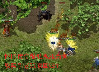 ���ɴ������ù���Ϊ������������һع飿