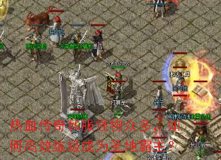 ��Ѫ����˽�������ڶ࣬��θ�Ч������Ϊʥ�ذ�����