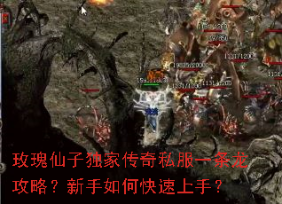 õ�����Ӷ��Ҵ���˽��һ�������ԣ�������ο������֣�