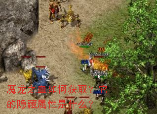 ħ��֮Ѫ��λ�ȡ����������������ʲô��