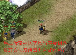 热血传奇神医药具与黄金钥匙获取方法及解毒丸合成攻略? 热血传奇神医药具与黄金钥匙获取方法及解毒丸合成攻略?