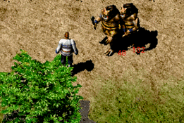 喝祝福油 喝祝福油