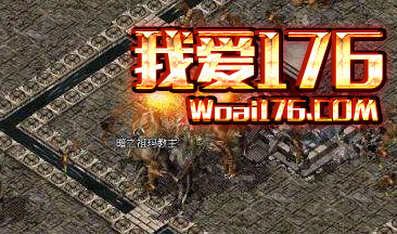 祖玛寺庙七层地图 祖玛寺庙七层地图