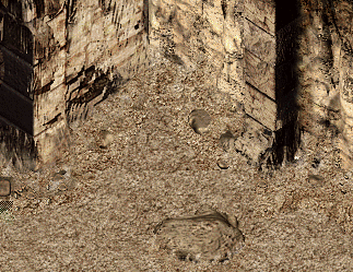 竞技场副本任务 竞技场副本任务