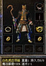 白色虎齿项链 白色虎齿项链