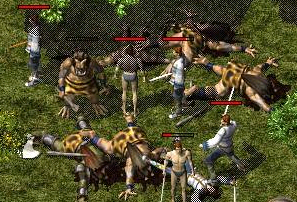 高品质肉 高品质肉