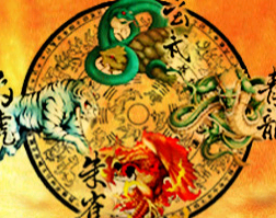 升级宝宝 升级宝宝