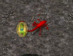 ʦĿǰ׶αȽϺõļƼ