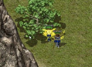 ֱض1.76װؼ㼫Ʒװõ