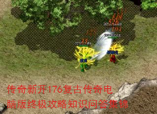 ¿176Ŵ԰ռ֪ʶʴ𼯽