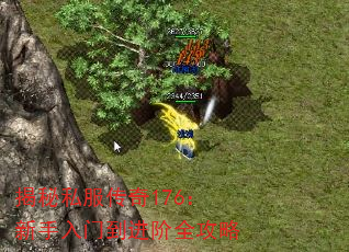 揭秘私服传奇176:新手入门到进阶全攻略 揭秘私服传奇176:新手入门到进阶全攻略