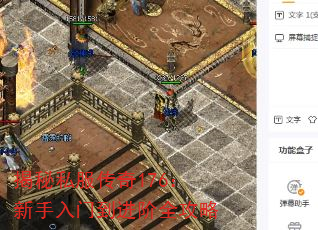 揭秘私服传奇176:新手入门到进阶全攻略 揭秘私服传奇176:新手入门到进阶全攻略