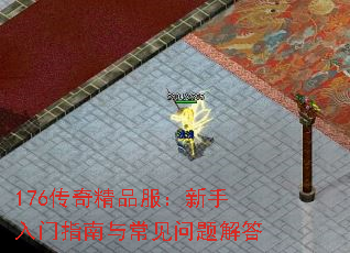 176传奇精品服:新手入门指南与常见问题解答 176传奇精品服:新手入门指南与常见问题解答