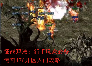 征战玛法:新手玩家必备传奇176开区入门攻略 征战玛法:新手玩家必备传奇176开区入门攻略