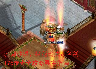 ۳ɳǣ̽귨176ȫѰָ