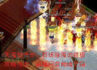 ħٴ棺նħռָϣʶ۷֮·