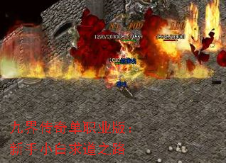 九界传奇单职业版:新手小白求道之路 九界传奇单职业版:新手小白求道之路