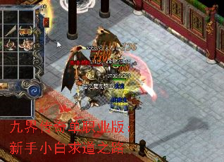 九界传奇单职业版:新手小白求道之路 九界传奇单职业版:新手小白求道之路