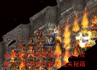 Ĺʧ˽ֽ׹ԣӲ񵽴еͨؼ