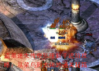 Ĺʧ˽ֽ׹ԣӲ񵽴еͨؼ