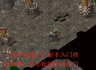 《传奇私服sf》新手入门终极攻略:从小白到大神指引 《传奇私服sf》新手入门终极攻略:从小白到大神指引