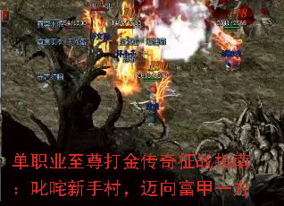 单职业至尊打金传奇征战指南:叱咤新手村,迈向富甲一方 单职业至尊打金传奇征战指南:叱咤新手村,迈向富甲一方