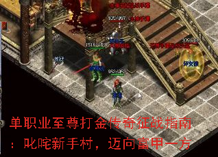 单职业至尊打金传奇征战指南:叱咤新手村,迈向富甲一方 单职业至尊打金传奇征战指南:叱咤新手村,迈向富甲一方