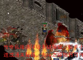 传奇私服魂环版本破解版:新手小白速成通关秘籍,大神之路指日可待 传奇私服魂环版本破解版:新手小白速成通关秘籍,大神之路指日可待