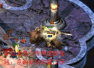 零氪金良心传奇攻略秘籍:从萌新到称霸沙场 零氪金良心传奇攻略秘籍:从萌新到称霸沙场