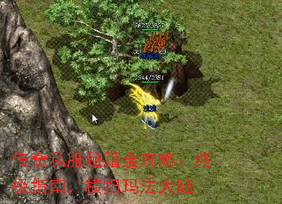 ˽ؼȫԣռָϣɨ귨½