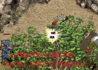 17auѪ˽ֽ׹ԣư귨½ؾ