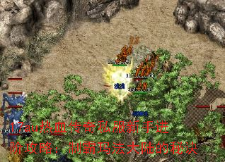 17auѪ˽ֽ׹ԣư귨½ؾ