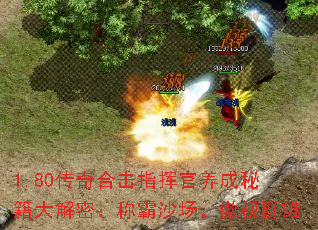 1.80ϻָӹؼܣưɳȺ