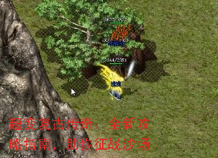 临Ŵ棺ȫ¹ָϣսɳ