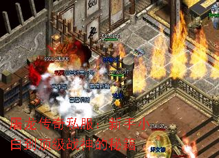 屠龙传奇私服:新手小白到顶级战神的秘籍 屠龙传奇私服:新手小白到顶级战神的秘籍