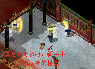 屠龙传奇私服:新手小白到顶级战神的秘籍 屠龙传奇私服:新手小白到顶级战神的秘籍