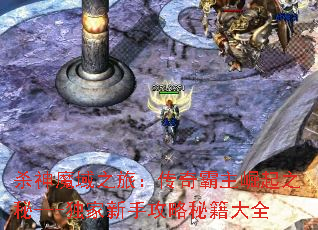 杀神魔域之旅:传奇霸主崛起之秘---独家新手攻略秘籍大全 杀神魔域之旅:传奇霸主崛起之秘---独家新手攻略秘籍大全