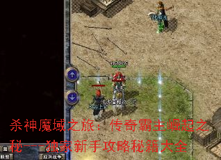 杀神魔域之旅:传奇霸主崛起之秘---独家新手攻略秘籍大全 杀神魔域之旅:传奇霸主崛起之秘---独家新手攻略秘籍大全