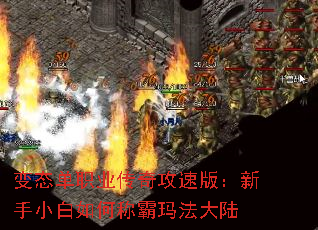 变态单职业传奇攻速版:新手小白如何称霸玛法大陆 变态单职业传奇攻速版:新手小白如何称霸玛法大陆