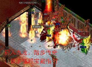 初入九龙,踏步传奇:新手征程宝藏指引 初入九龙,踏步传奇:新手征程宝藏指引