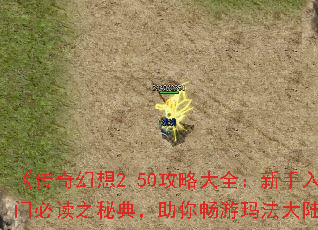 《传奇幻想2.50攻略大全:新手入门必读之秘典,助你畅游玛法大陆》 《传奇幻想2.50攻略大全:新手入门必读之秘典,助你畅游玛法大陆》