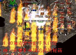 1.80ŴŹԣ㵽Ӣ۵Ľؼ