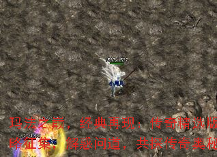 귨ۣ֣֮澫ѡ湥ʵ̽